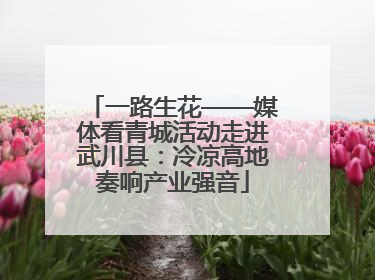 一路生花——媒体看青城活动走进武川县：冷凉高地奏响产业强音