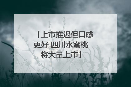 上市推迟但口感更好 四川水蜜桃将大量上市