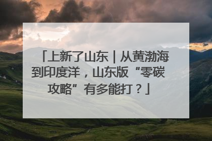 上新了山东｜从黄渤海到印度洋，山东版“零碳攻略”有多能打？