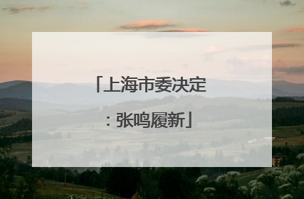 上海市委决定：张鸣履新