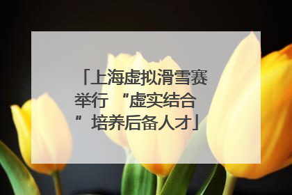 上海虚拟滑雪赛举行 “虚实结合”培养后备人才