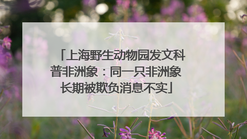 上海野生动物园发文科普非洲象：同一只非洲象长期被欺负消息不实