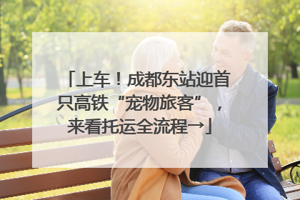 上车！成都东站迎首只高铁“宠物旅客”，来看托运全流程→