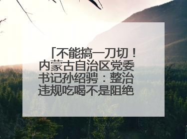 不能搞一刀切！内蒙古自治区党委书记孙绍骋：整治违规吃喝不是阻绝正常人际交往、黯淡人间烟火