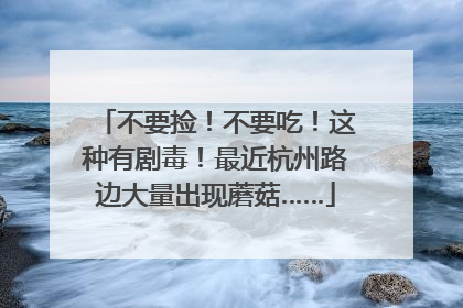 不要捡！不要吃！这种有剧毒！最近杭州路边大量出现蘑菇……