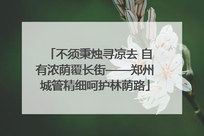不须秉烛寻凉去 自有浓荫覆长街——郑州城管精细呵护林荫路