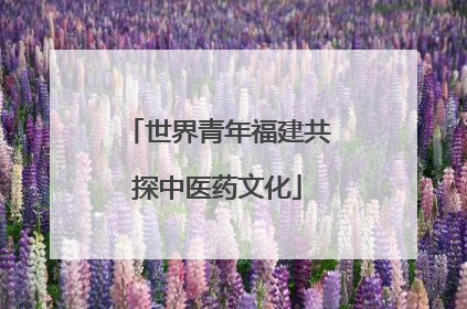 世界青年福建共探中医药文化