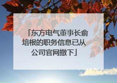 东方电气董事长俞培根的职务信息已从公司官网撤下