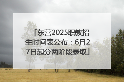 东营2025职教招生时间表公布：6月27日起分两阶段录取