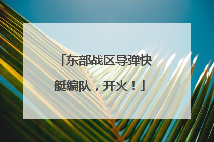 东部战区导弹快艇编队，开火！
