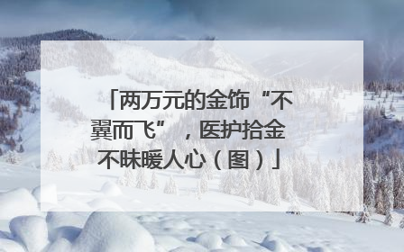 两万元的金饰“不翼而飞”，医护拾金不昧暖人心（图）