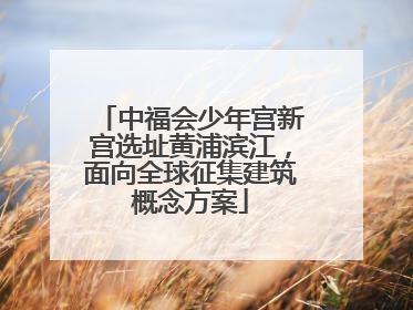 中福会少年宫新宫选址黄浦滨江，面向全球征集建筑概念方案