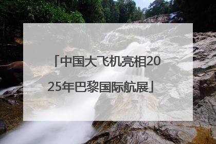 中国大飞机亮相2025年巴黎国际航展