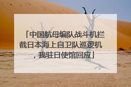 中国航母编队战斗机拦截日本海上自卫队巡逻机，我驻日使馆回应