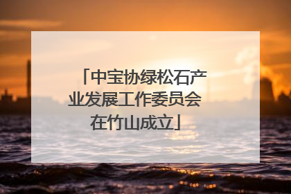 中宝协绿松石产业发展工作委员会在竹山成立