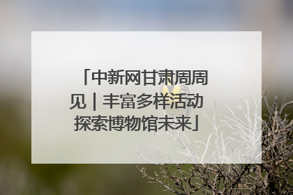 中新网甘肃周周见｜丰富多样活动探索博物馆未来