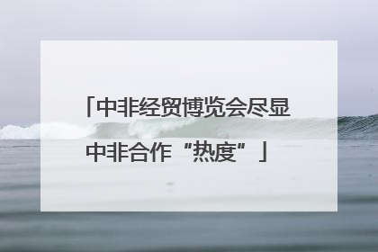 中非经贸博览会尽显中非合作“热度”