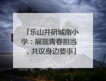 乐山井研城南小学：展现青春担当，共议身边要事