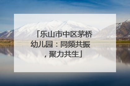 乐山市中区茅桥幼儿园：同频共振，聚力共生