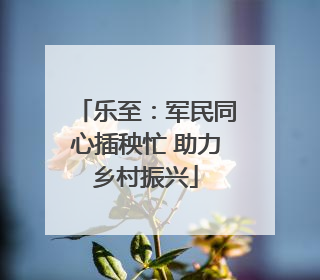 乐至：军民同心插秧忙 助力乡村振兴