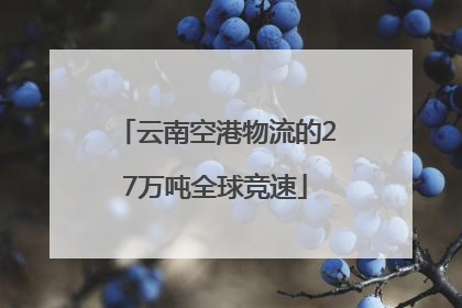 云南空港物流的27万吨全球竞速