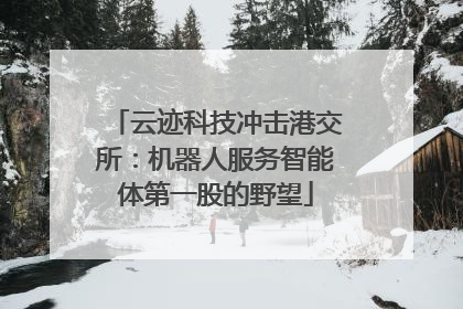 云迹科技冲击港交所：机器人服务智能体第一股的野望