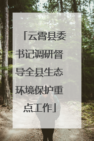 云霄县委书记调研督导全县生态环境保护重点工作