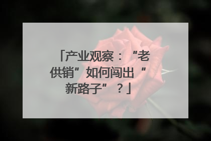 产业观察：“老供销”如何闯出“新路子”？