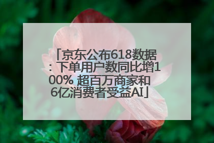 京东公布618数据：下单用户数同比增100% 超百万商家和6亿消费者受益AI
