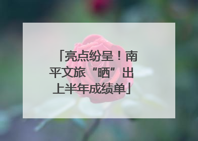 亮点纷呈！南平文旅“晒”出上半年成绩单