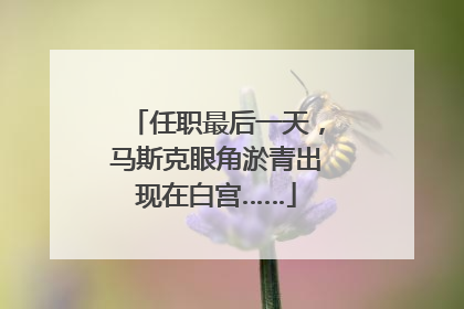 任职最后一天，马斯克眼角淤青出现在白宫……