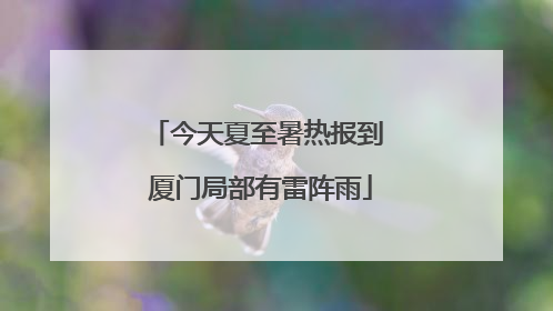 今天夏至暑热报到 厦门局部有雷阵雨