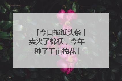 今日报纸头条｜卖火了棉袄，今年种了千亩棉花