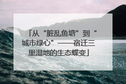 从“脏乱鱼塘”到“城市绿心”——宿迁三里湿地的生态蝶变