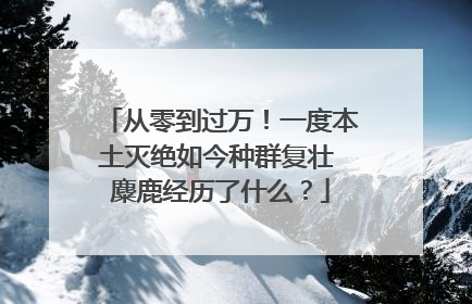 从零到过万！一度本土灭绝如今种群复壮 麋鹿经历了什么？