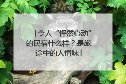 令人“怦然心动”的民宿什么样？是旅途中的人情味