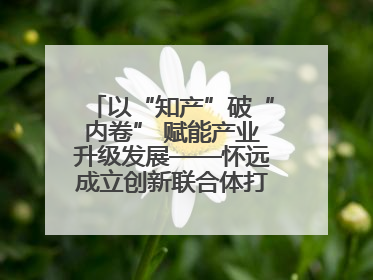 以“知产”破“内卷” 赋能产业升级发展——怀远成立创新联合体打造汽车零部件产业新高地