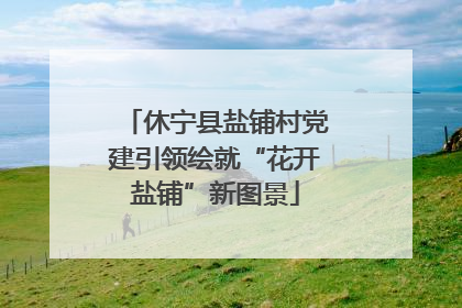 休宁县盐铺村党建引领绘就“花开盐铺”新图景