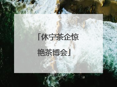 休宁茶企惊艳茶博会