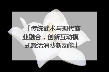 传统武术与现代商业融合，创新互动模式激活消费新动能