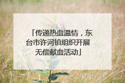 传递热血温情，东台市许河镇组织开展无偿献血活动