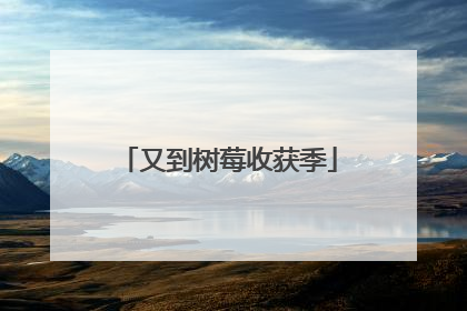 又到树莓收获季