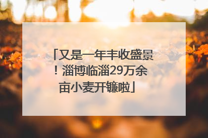 又是一年丰收盛景！淄博临淄29万余亩小麦开镰啦
