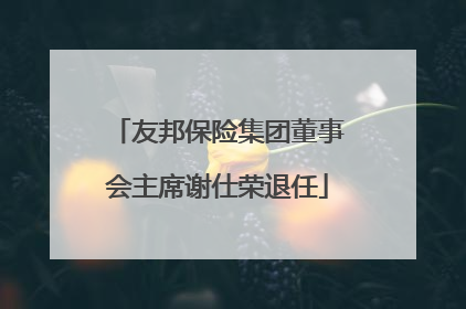 友邦保险集团董事会主席谢仕荣退任
