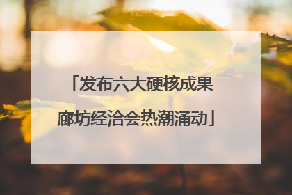 发布六大硬核成果 廊坊经洽会热潮涌动