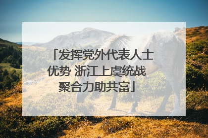 发挥党外代表人士优势 浙江上虞统战聚合力助共富