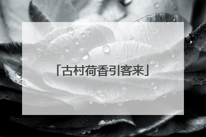 古村荷香引客来