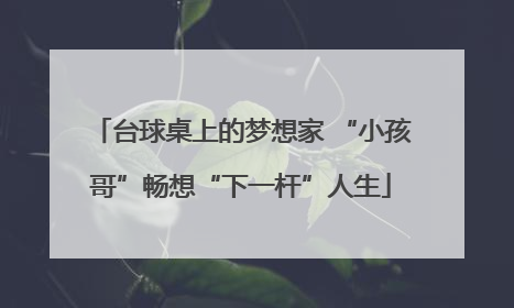 台球桌上的梦想家 “小孩哥”畅想“下一杆”人生