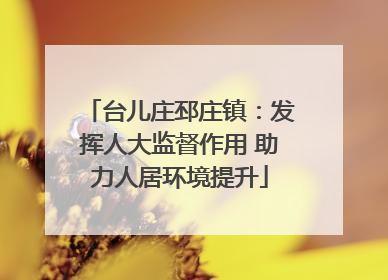 台儿庄邳庄镇：发挥人大监督作用 助力人居环境提升