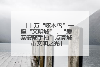 十万“啄木鸟”一座“文明城”，“爱泰安随手拍”点亮城市文明之光